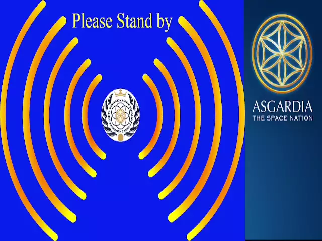XII Sitting of Parliament of Asgardia on 19-Jun-21-19-day 1 640-480 part 6 of 10